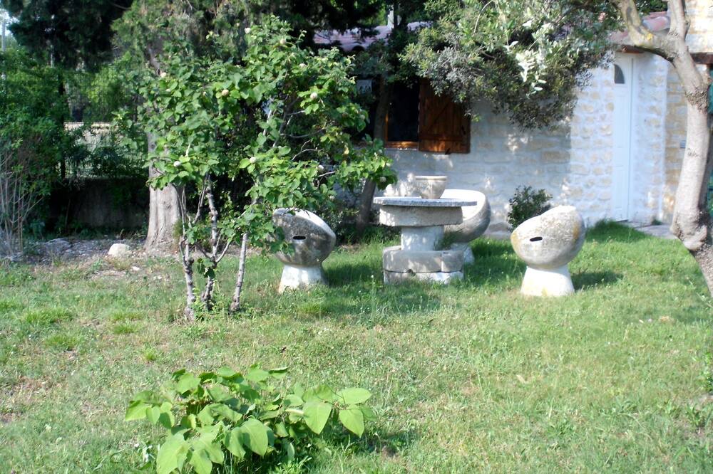 Photo of Outdoor in Saze
