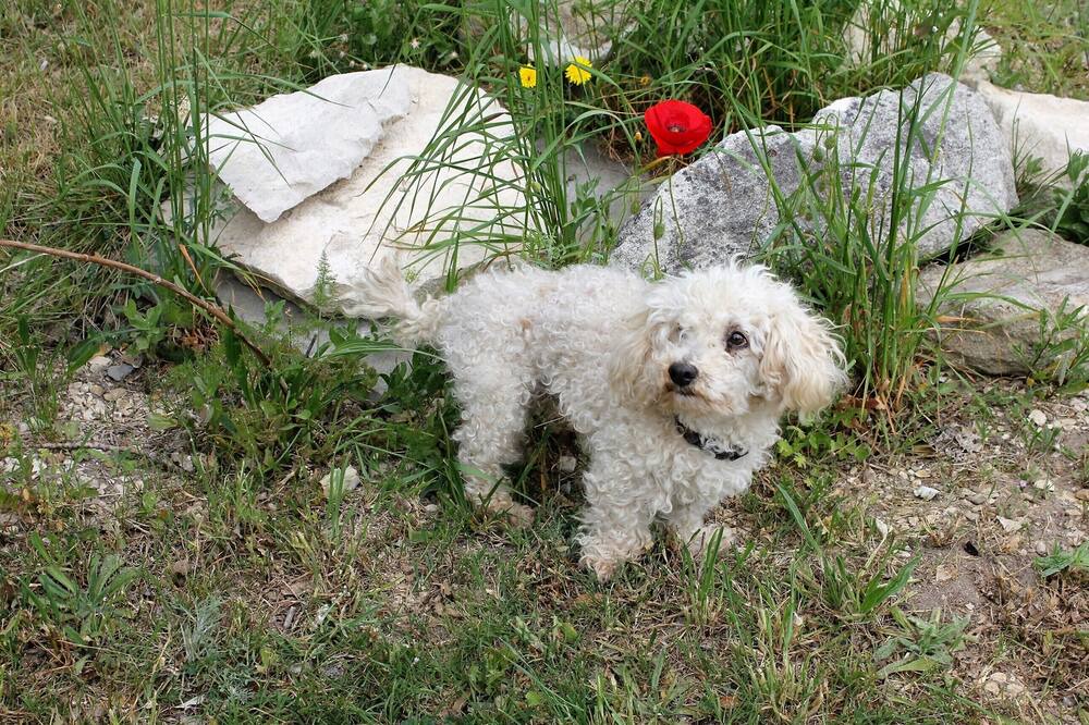 Photo of Outdoor in Saze