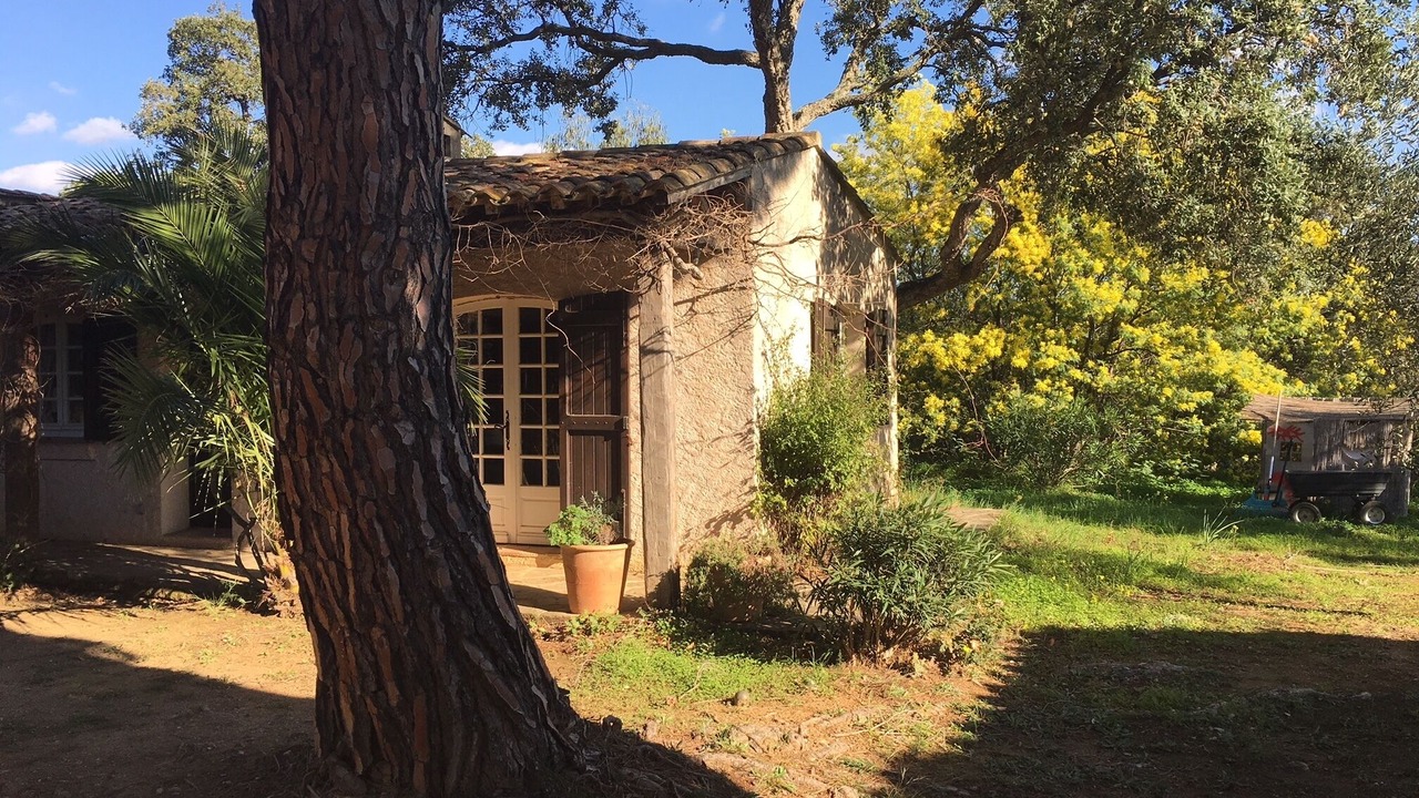 Photo of Outdoor in La Londe-les-Maures