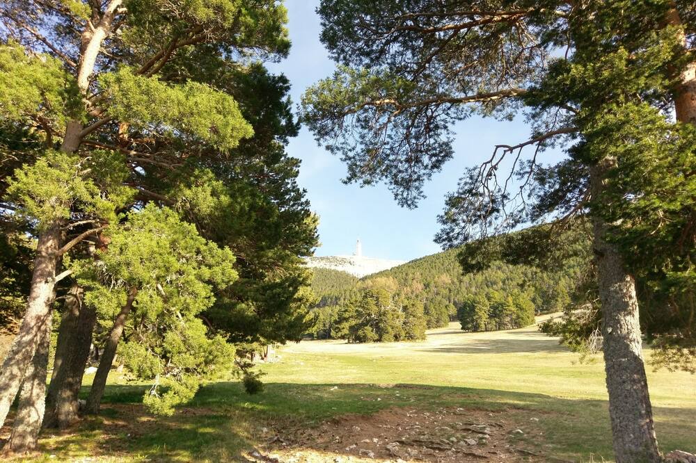 Photo of Outdoor in Mont Serein