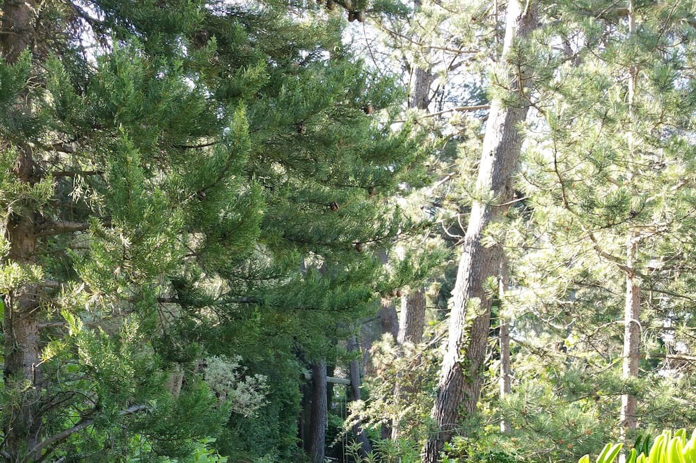 Photo of Outdoor in Nord