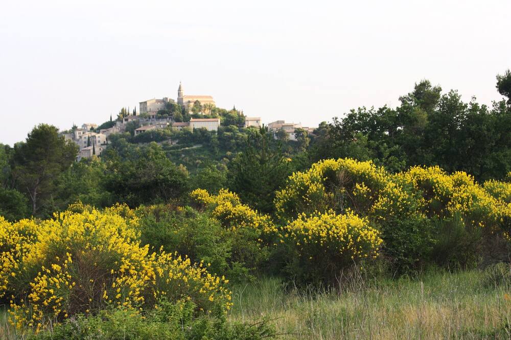 Photo of Outdoor in Crillon-le-Brave