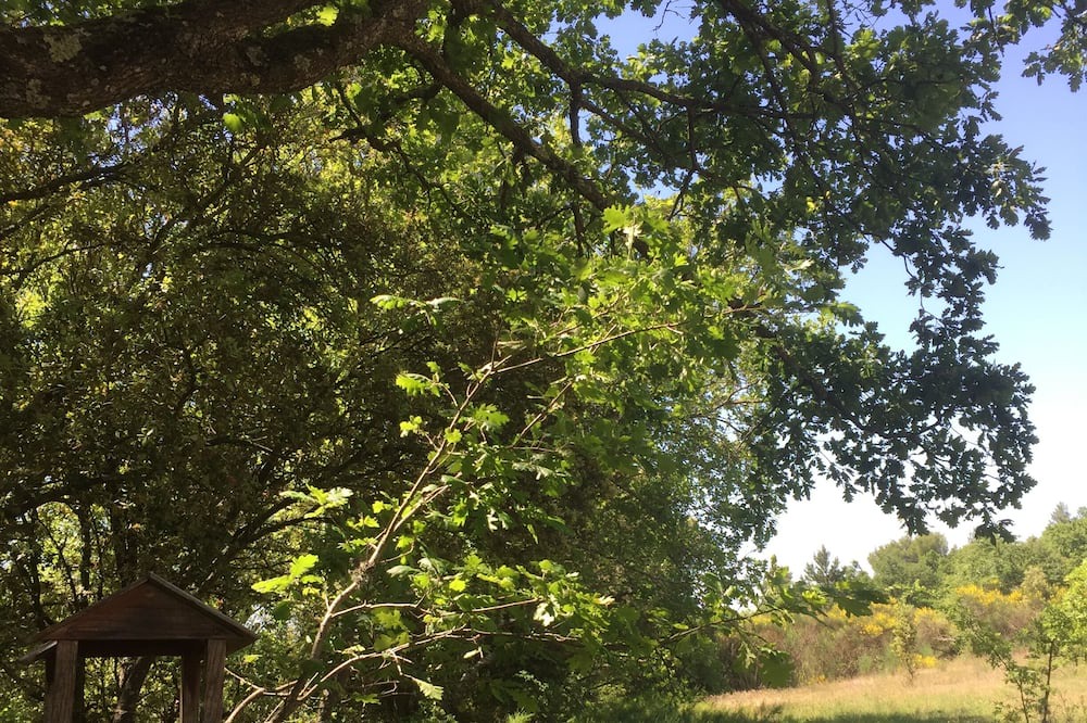 Photo of Outdoor in Crillon-le-Brave