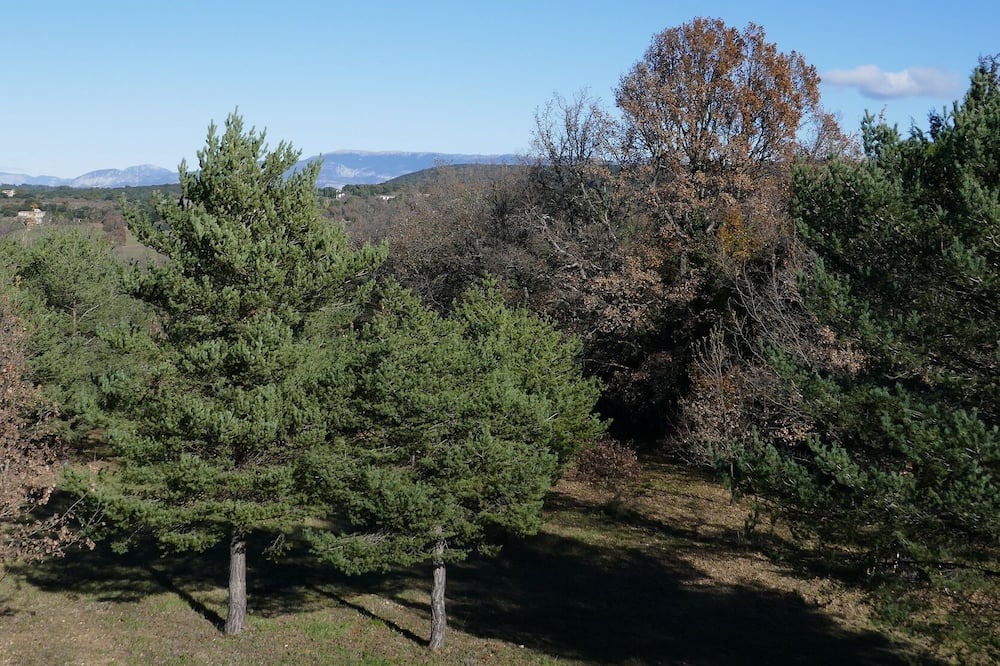 Photo of Outdoor in Artignosc-sur-Verdon