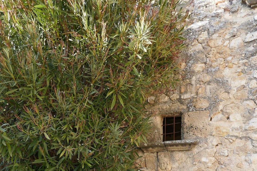 Photo of Outdoor in Artignosc-sur-Verdon