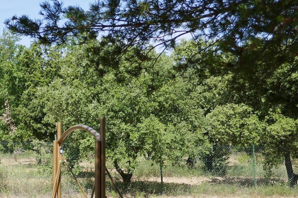 Photo of Outdoor in Artignosc-sur-Verdon