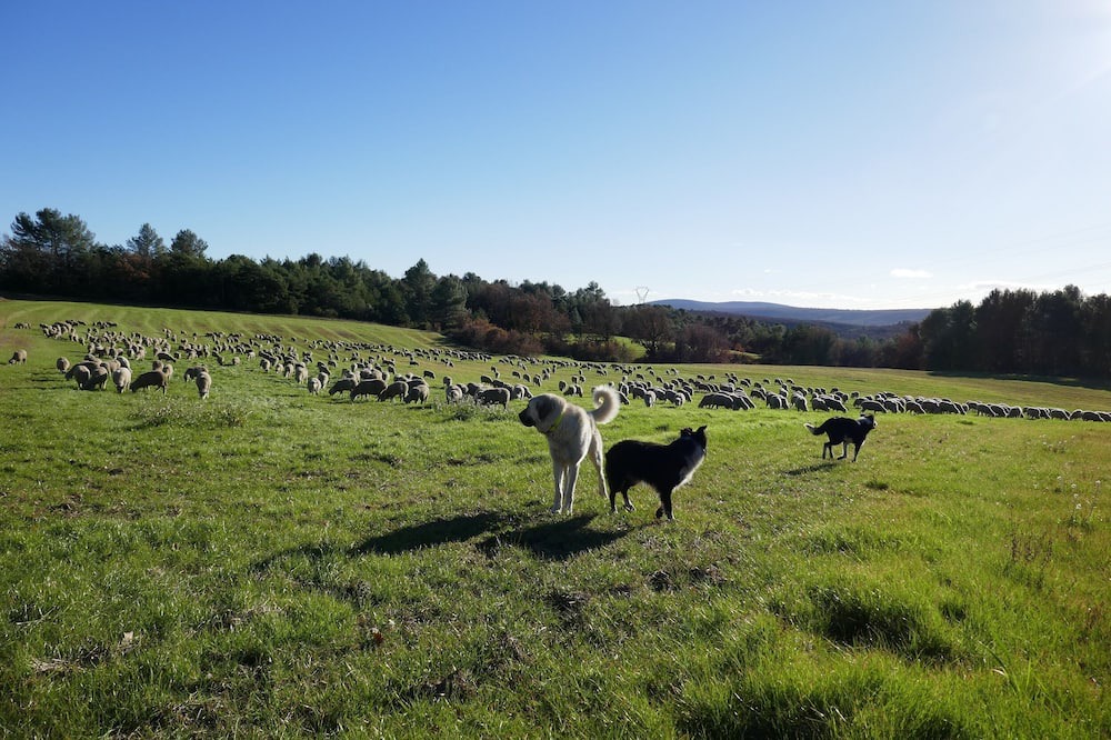 Photo of Outdoor in Artignosc-sur-Verdon
