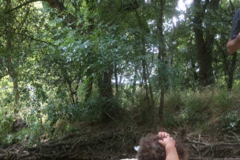 Photo of Outdoor in Montfort-sur-Argens