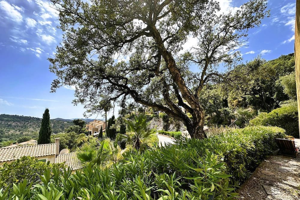 Photo of Others in La Londe-les-Maures