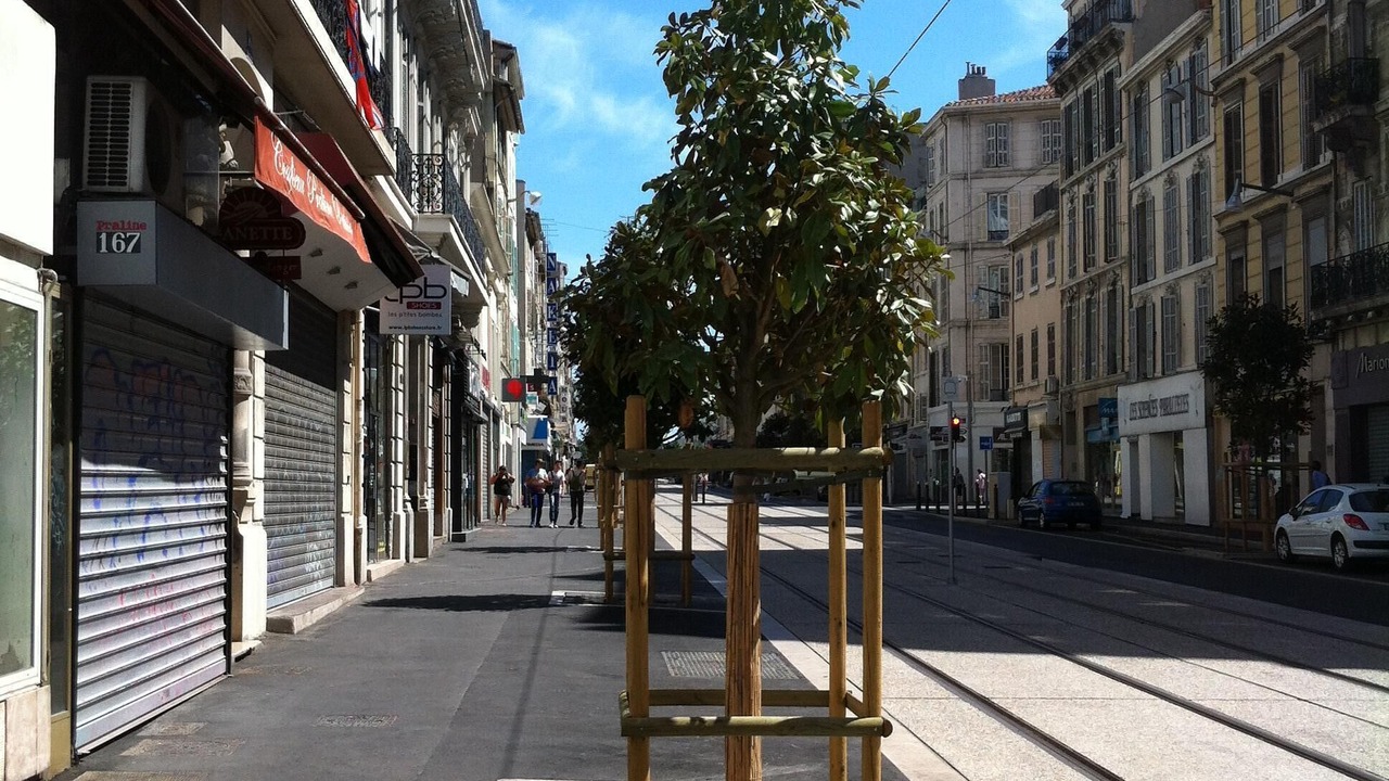 Photo of Outdoor in 6th Arrondissement