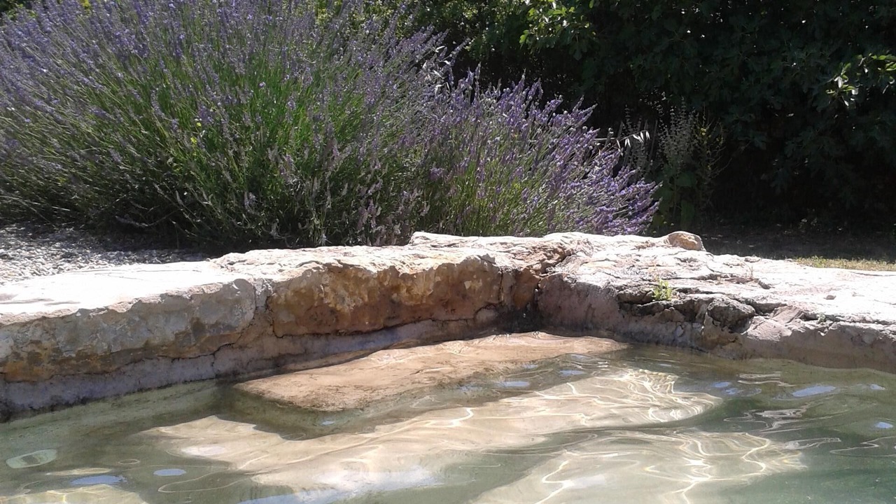 Photo of Outdoor in Saint-Antonin-du-Var
