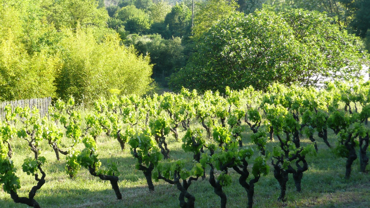 Photo of Outdoor in Saint-Antonin-du-Var