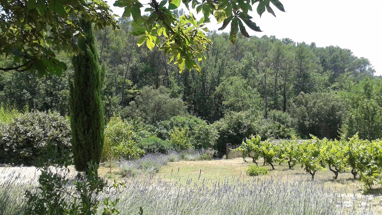 Photo of Outdoor in Saint-Antonin-du-Var