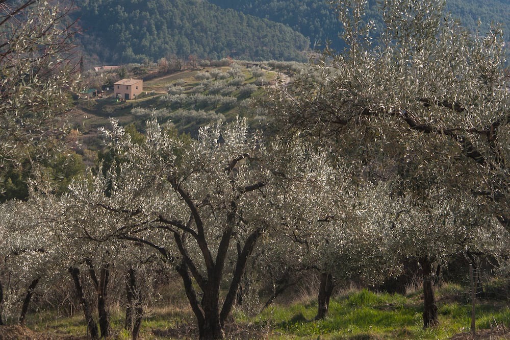 Photo of Others in Buis-les-Baronnies