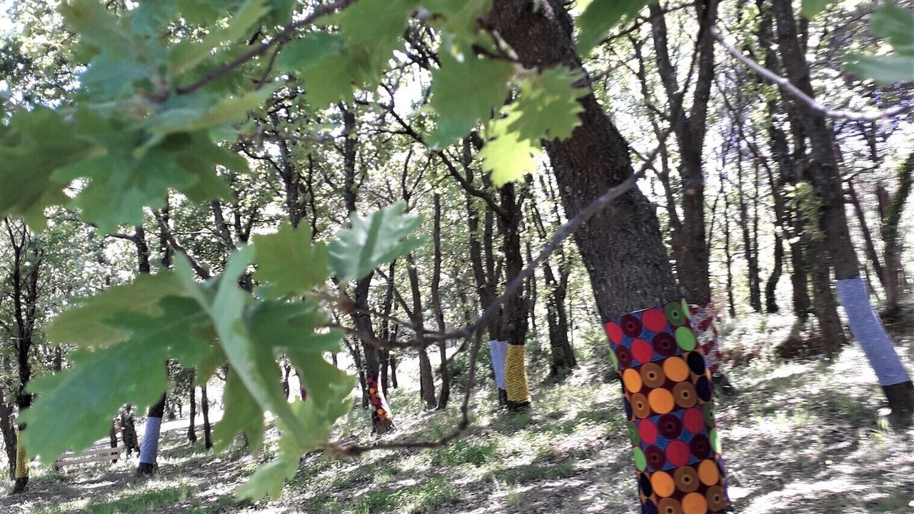 Photo of Others in La Garde-Freinet