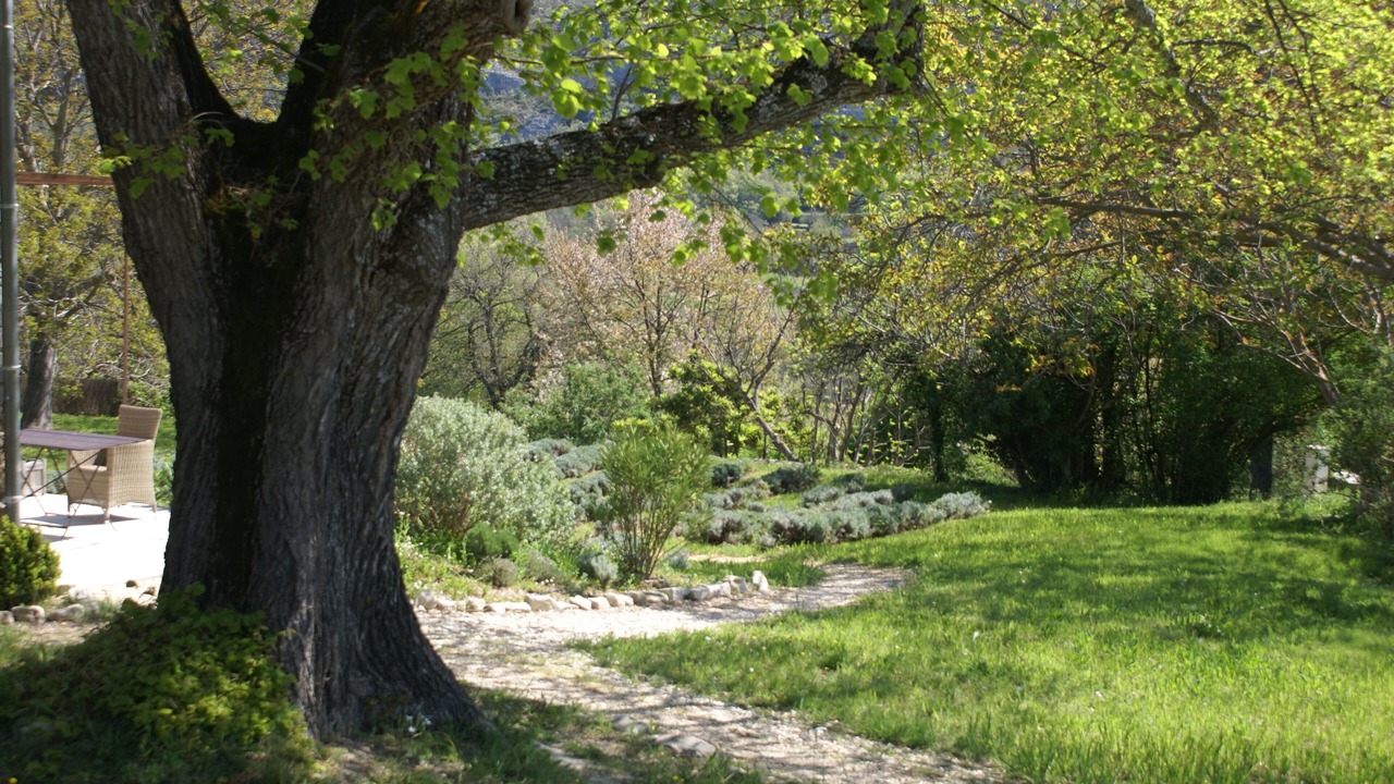Photo of Outdoor in Saint-Martin-de-Castillon