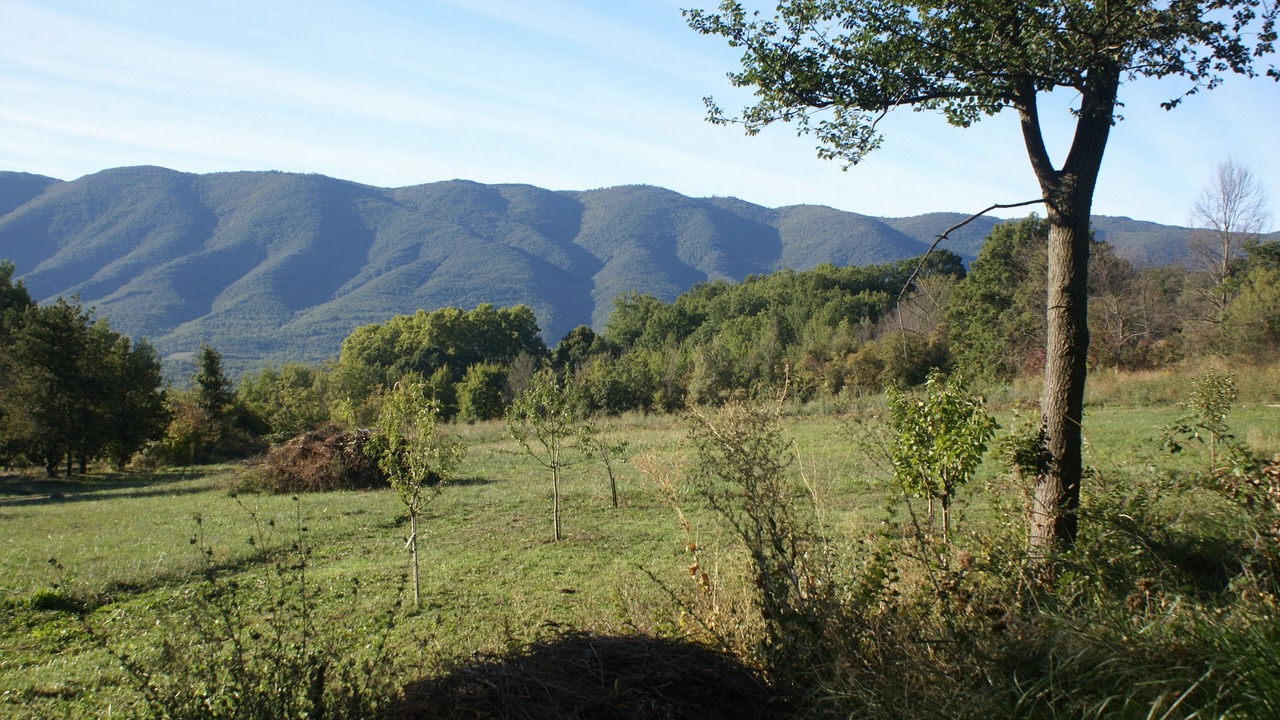 Photo of Outdoor in Saint-Martin-de-Castillon
