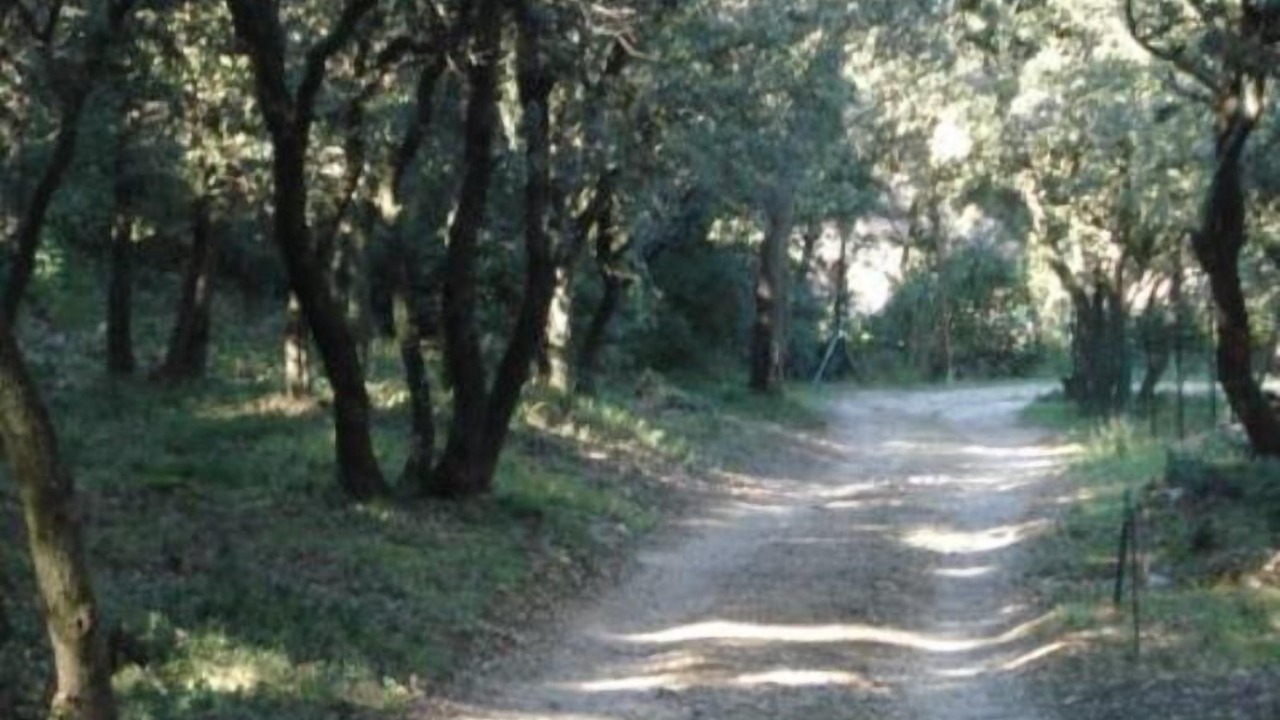 Photo of Outdoor in Saze