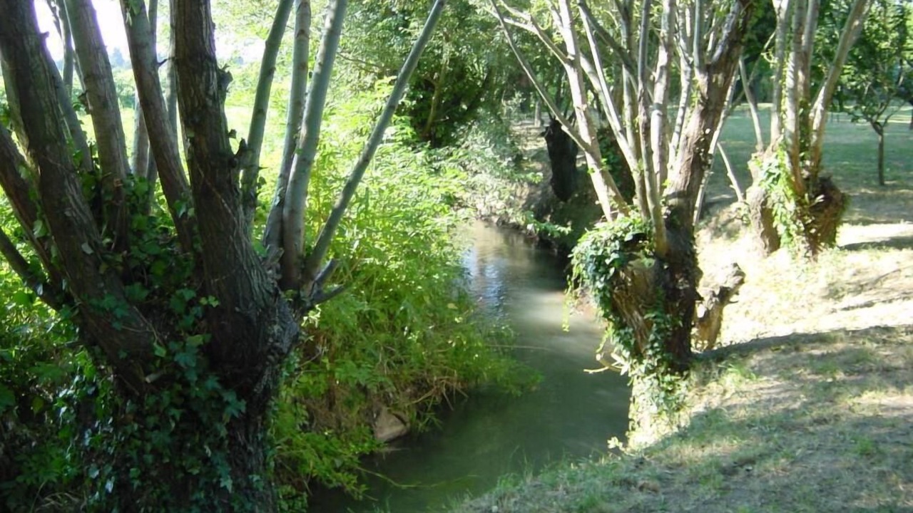 Photo of Outdoor in Courthezon