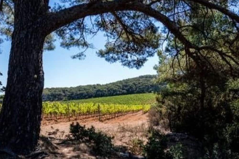 Photo of Outdoor in Cavaliere