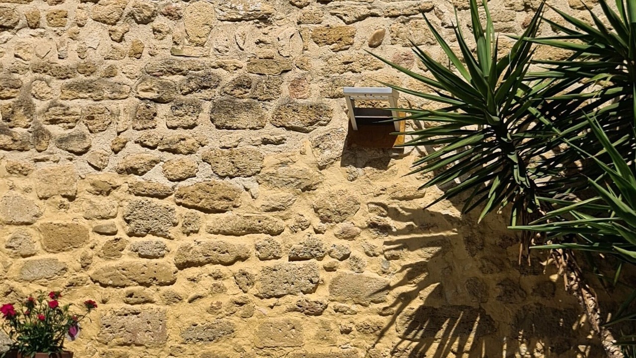Photo of Outdoor in Miramas le Vieux