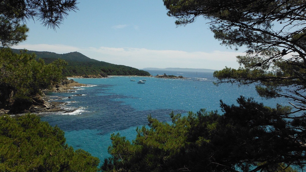 Photo of Others in La Valette-du-Var
