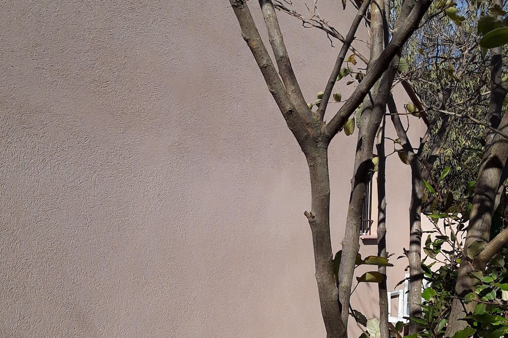 Photo of Others in Cuges-les-Pins
