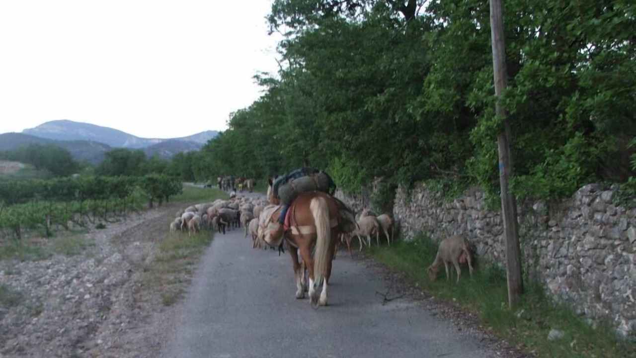 Photo of Others in Faucon