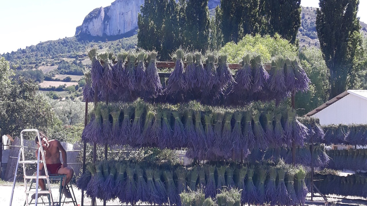 Photo of Outdoor in Faucon
