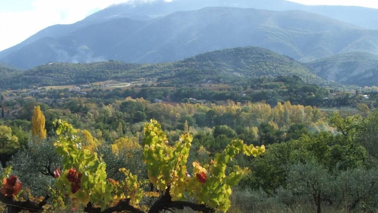 Photo of Outdoor in Faucon