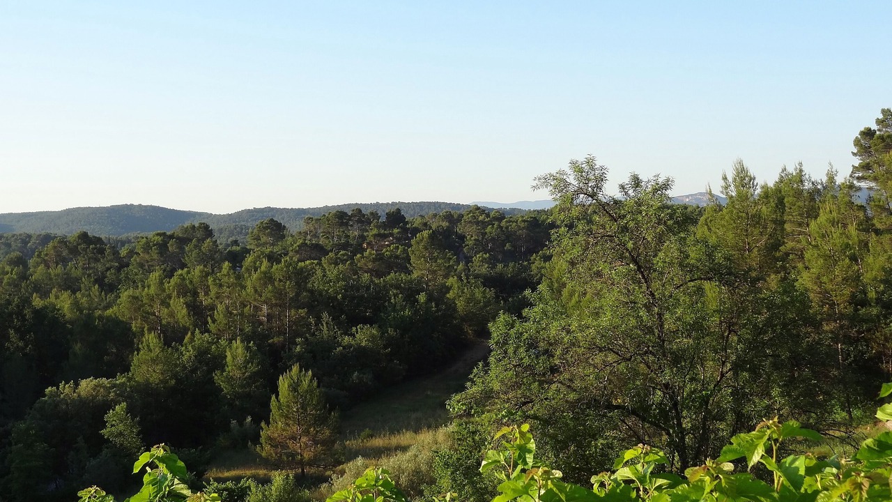 Photo of Outdoor in Massebœuf