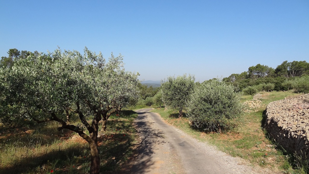 Photo of Outdoor in Massebœuf