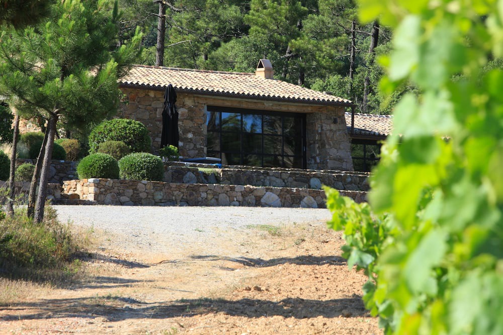 Photo of Others in Bormes-Les-Mimosas