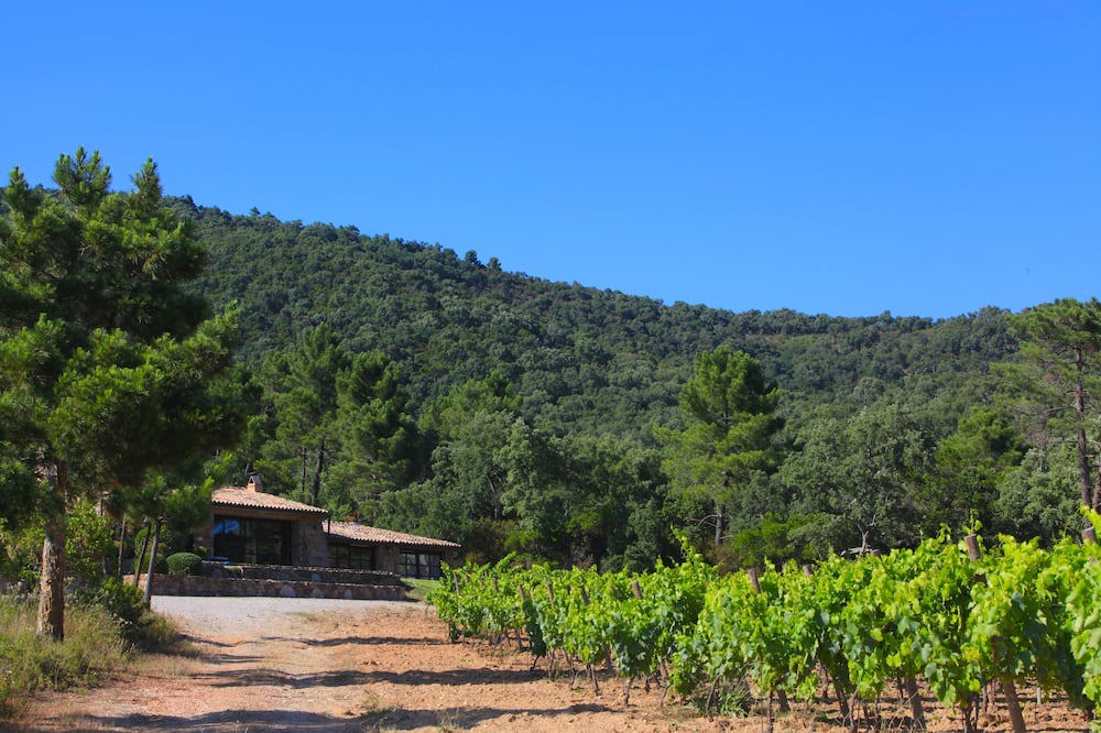 Photo of Others in Bormes-Les-Mimosas