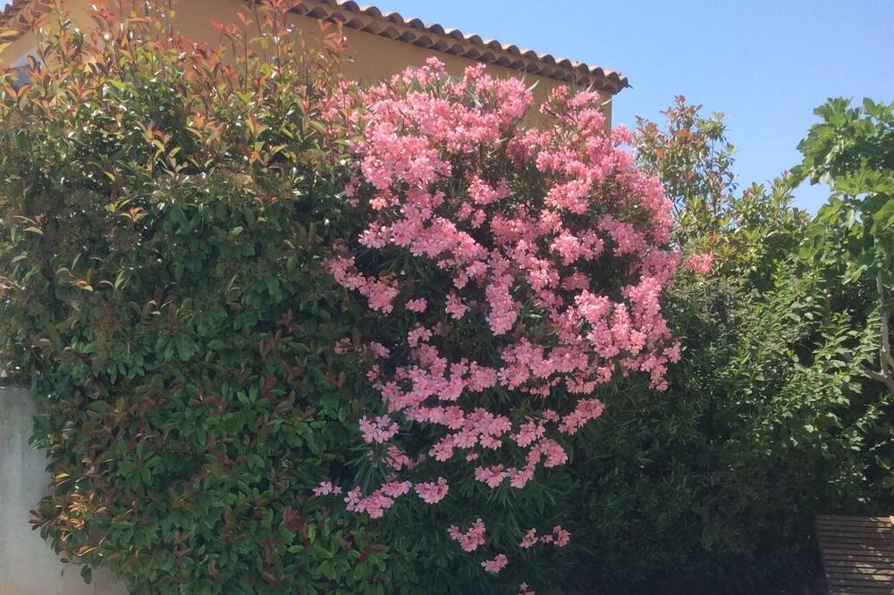 Photo of Outdoor in Morieres-les-Avignon