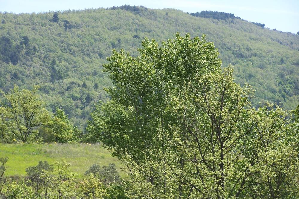 Photo of Outdoor in Montferrat