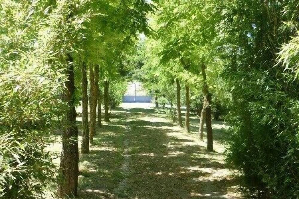 Photo of Outdoor in Caderousse