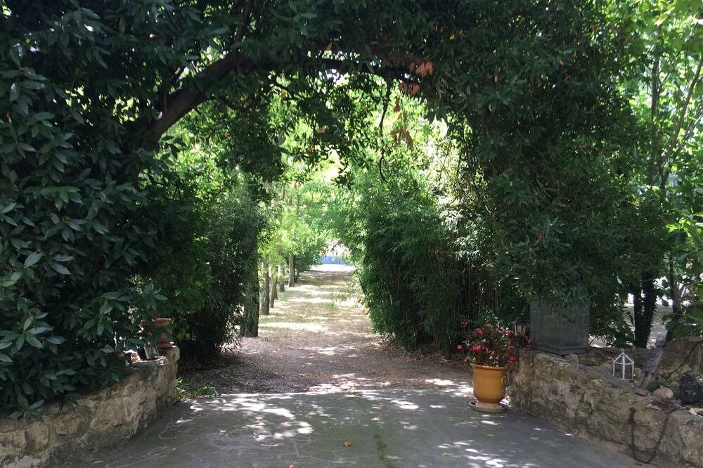 Photo of Outdoor in Caderousse
