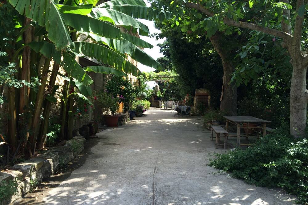 Photo of Outdoor in Caderousse