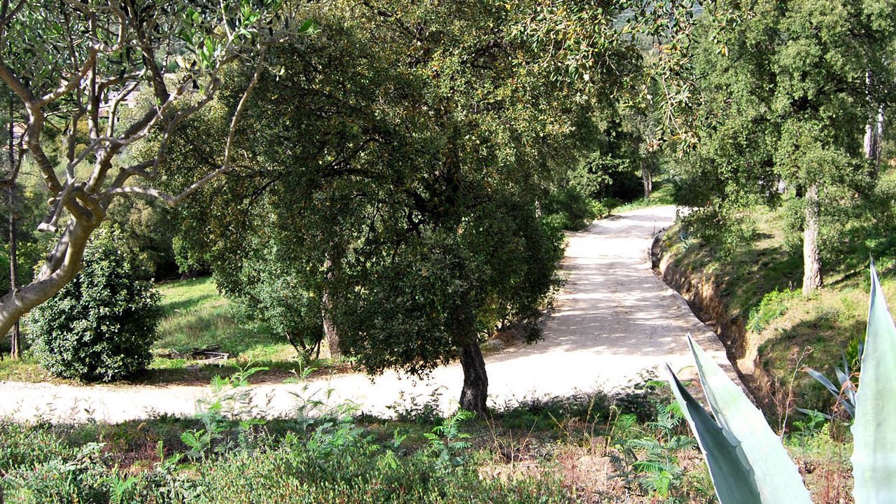 Photo of Outdoor in Bormes-Les-Mimosas