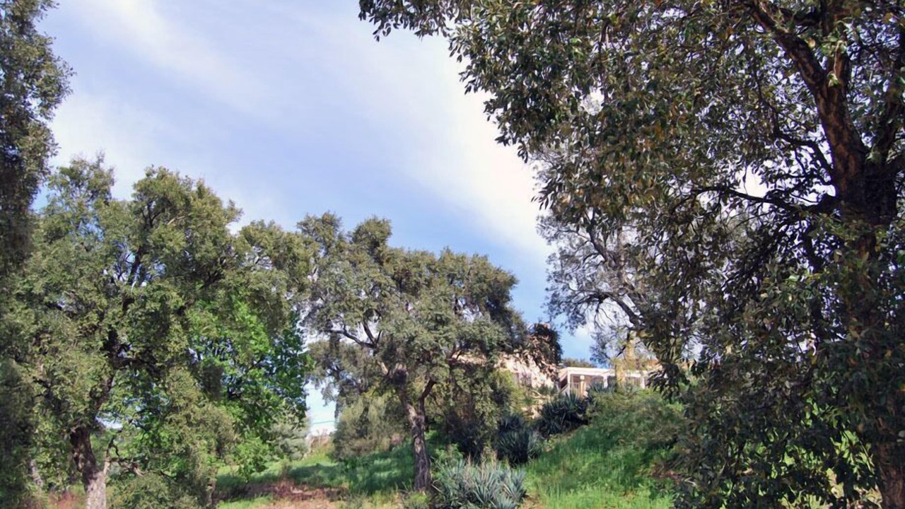 Photo of Outdoor in Bormes-Les-Mimosas