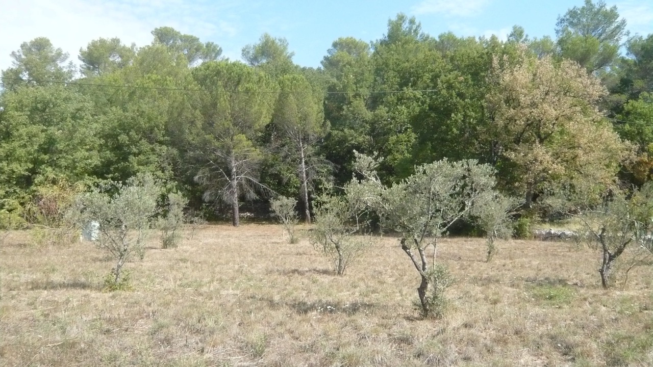 Photo of Outdoor in Saint-Maximin-la-Sainte-Baume