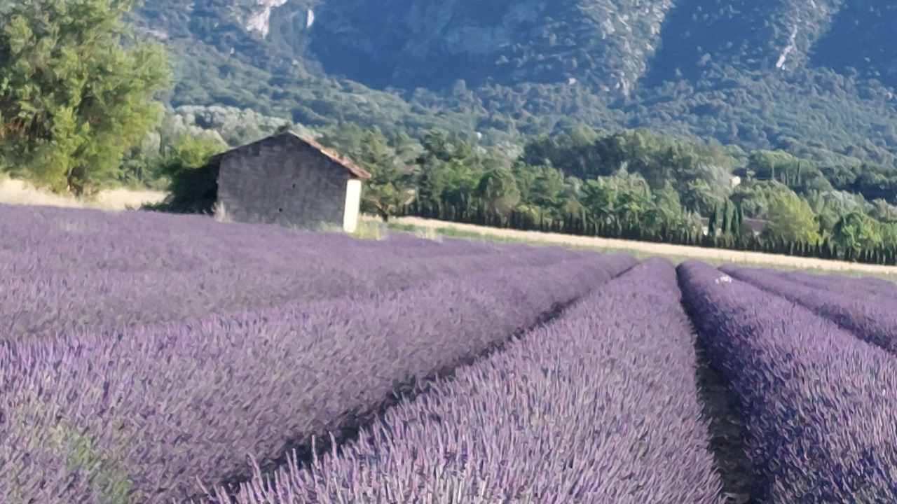 Photo of Outdoor in Oppede