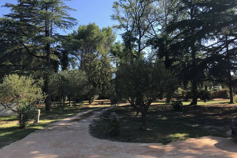Photo of Outdoor in Sernhac