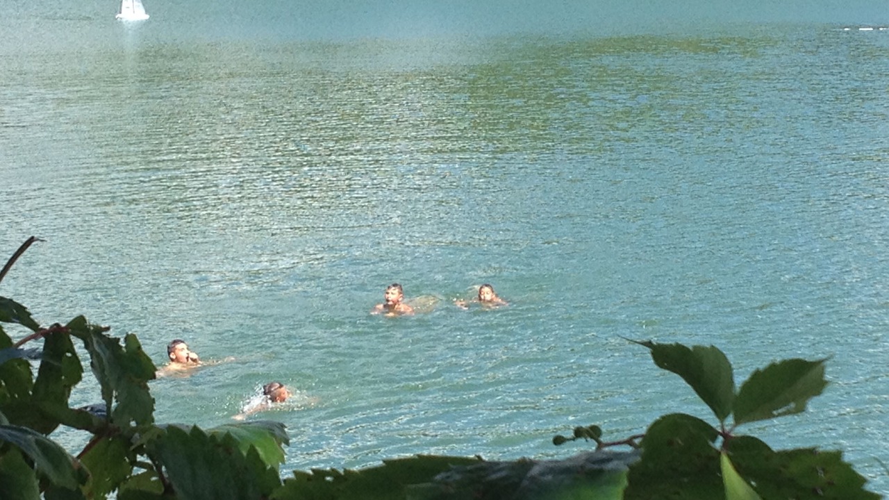Photo of Others in Besse-sur-Issole