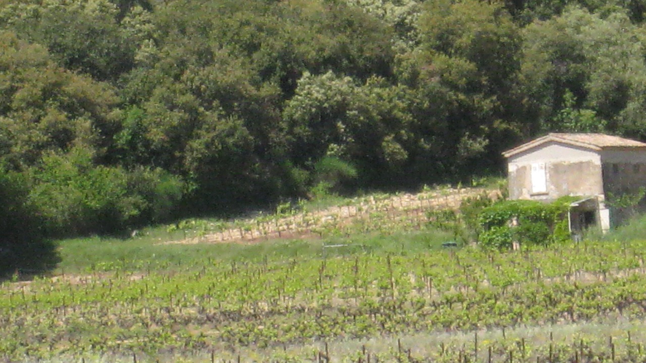 Photo of Outdoor in Besse-sur-Issole
