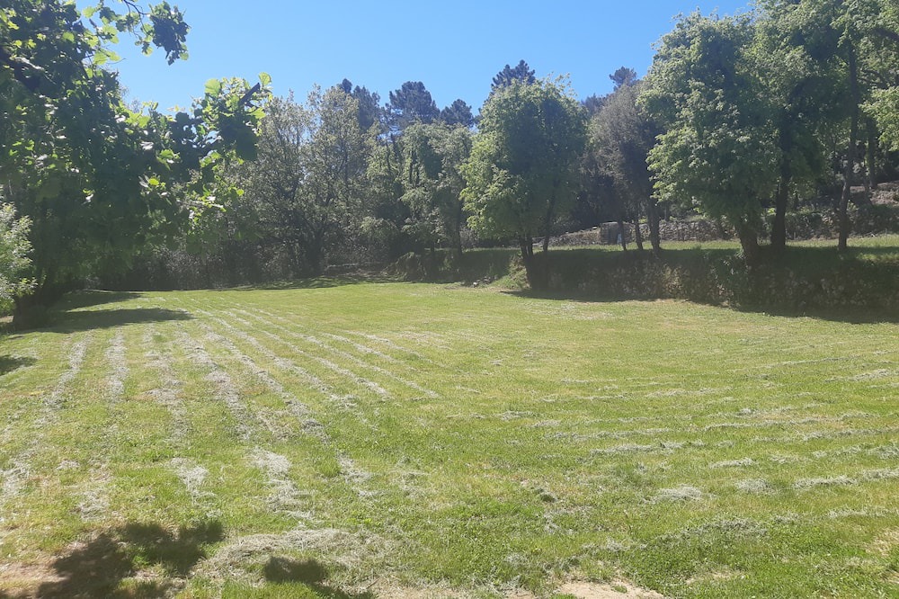 Photo of Outdoor in La Roquebrussanne