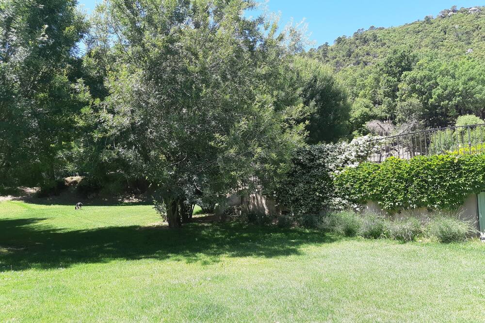 Photo of Outdoor in La Roquebrussanne