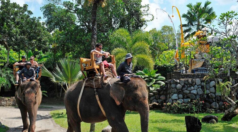 Photo of Outdoor in Batuan