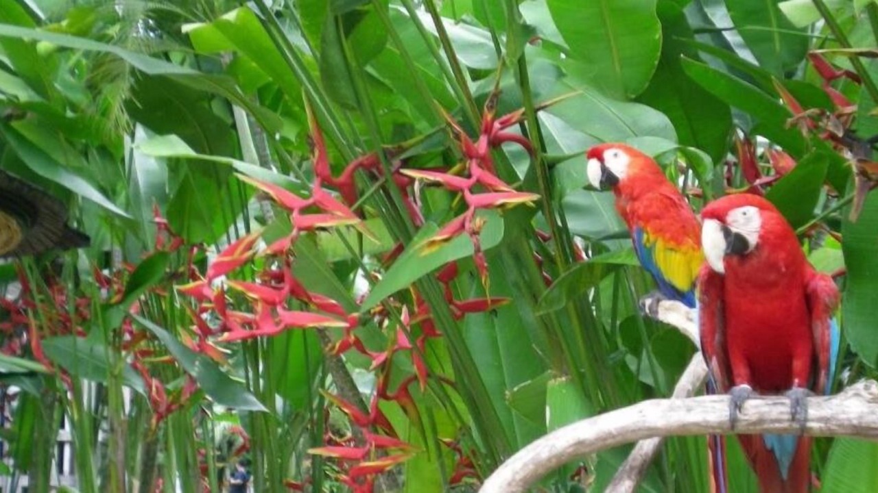 Photo of Outdoor in Batuan